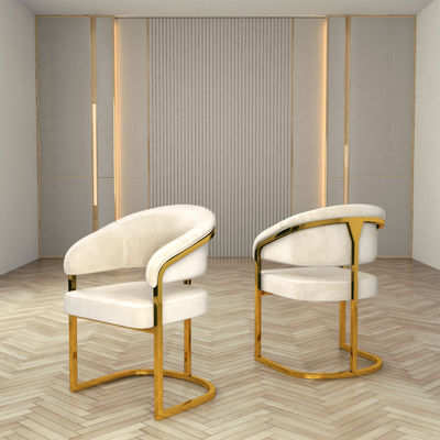 kopen Appartement Luxe Eetstoel Met Rugsteun Geen Armsteun online manufacture